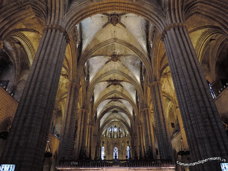 235 Cattedrale Gotica di Barcellona.JPG -           